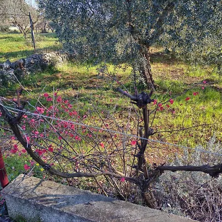 Dei Messeri Martina Franca